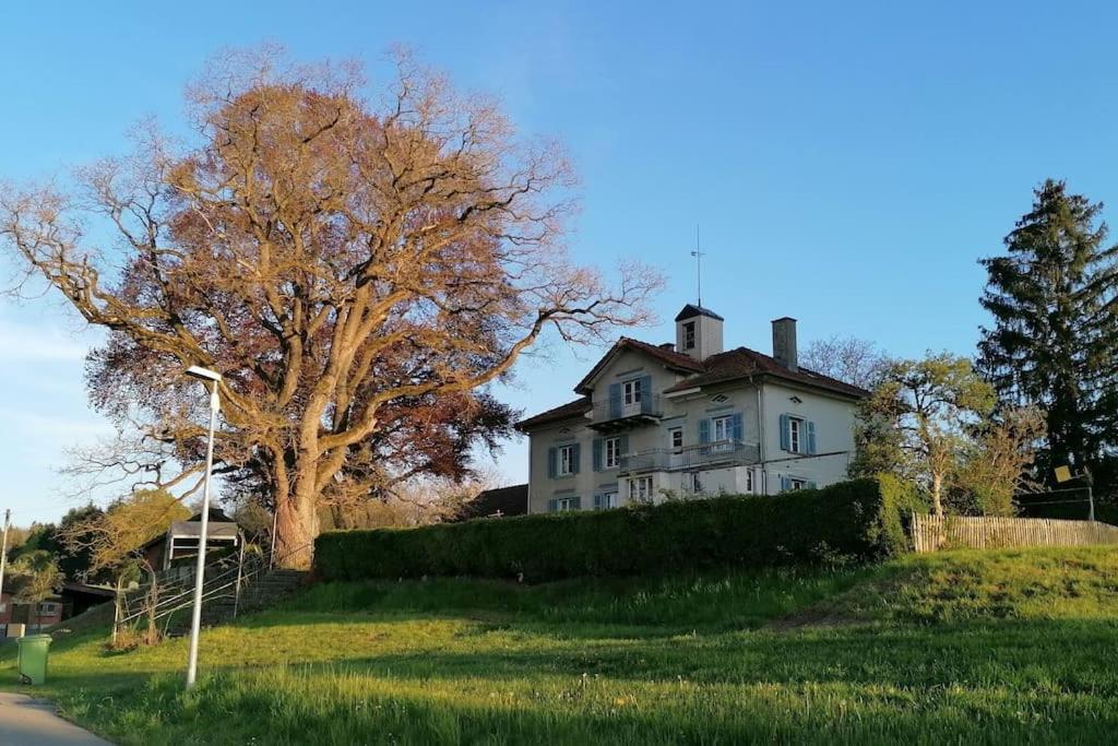 Seesicht Und Charmante Wohnung Bei Hanni Und Ueli Bottighofen Exterior photo